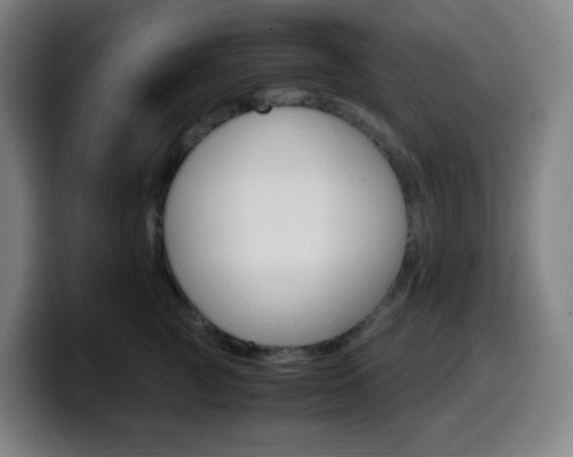 X0000099510761200805151011
