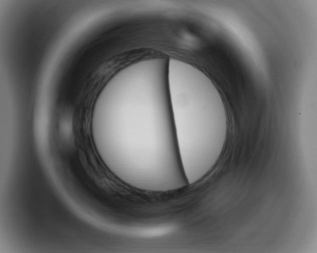 X0000099510765200805151011