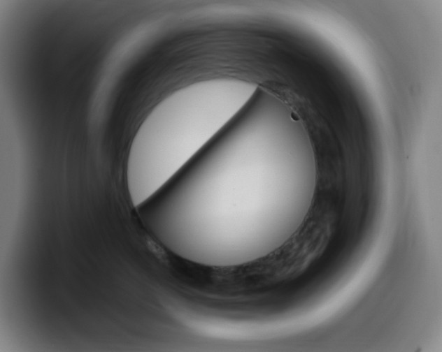 X0000099510766200805151011