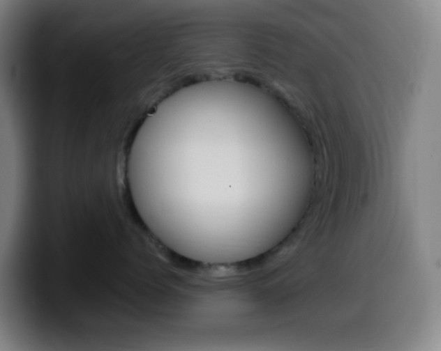 X0000099510768200805151011