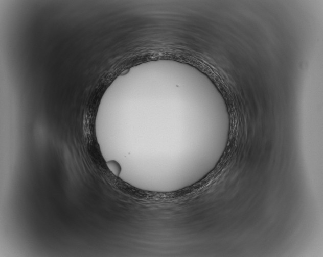 X0000099510770200805151010