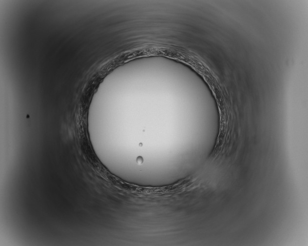 X0000099510773200805151010