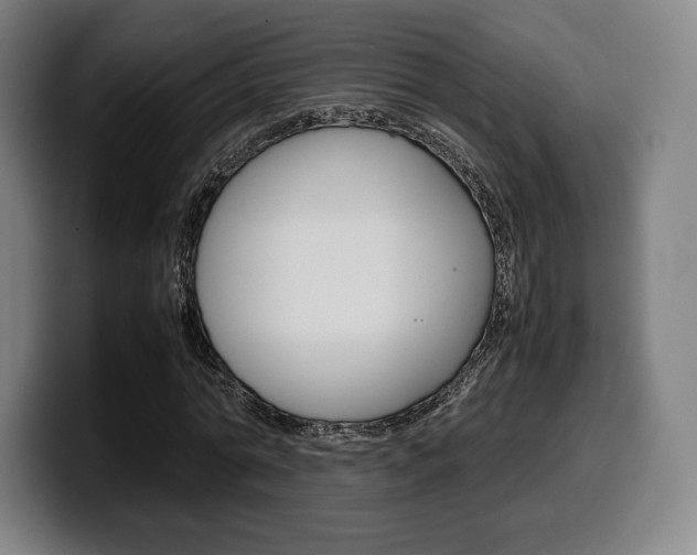 X0000099510774200805151010