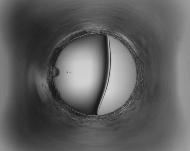 X0000099510775200805151010