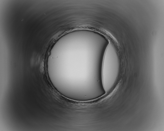 X0000099510777200805151010