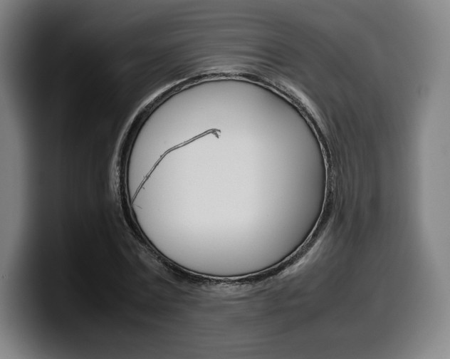 X0000099510779200805151010