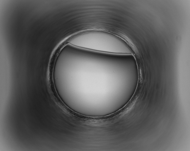 X0000099510780200805151010