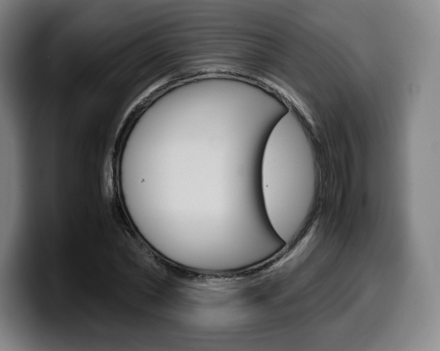 X0000099510782200805151010