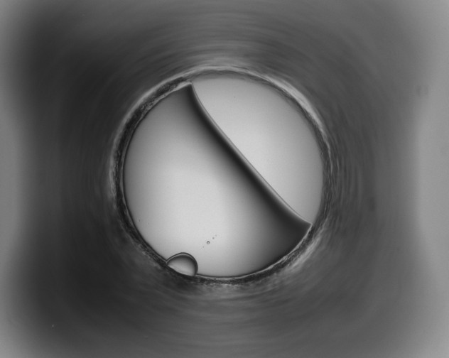 X0000099510783200805151010