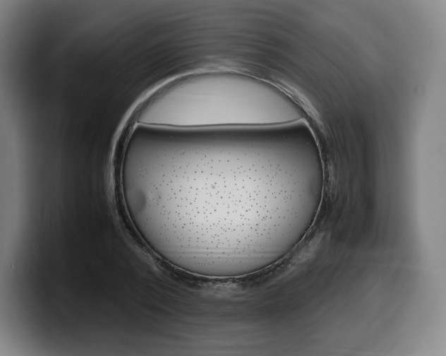 X0000099510784200805151010