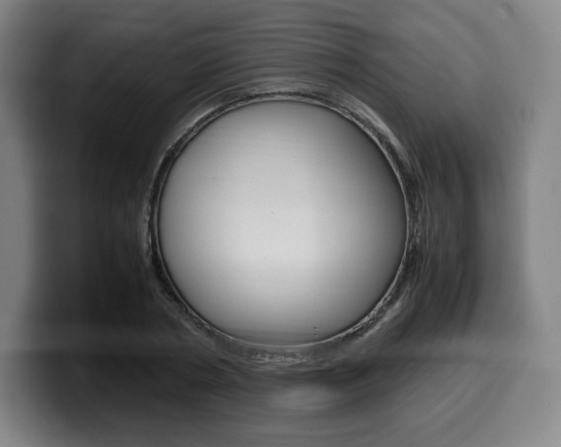 X0000099510786200805151010