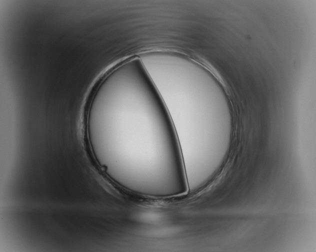 X0000099510787200805151010