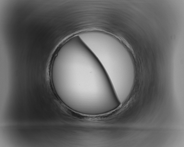 X0000099510789200805151010
