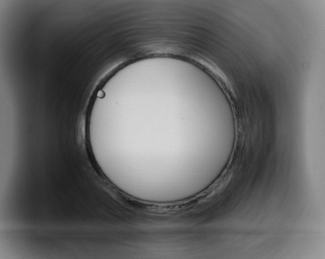 X0000099510790200805151010