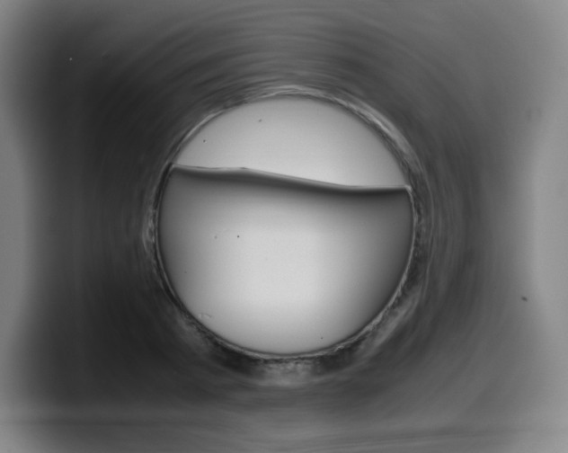 X0000099510793200805151010