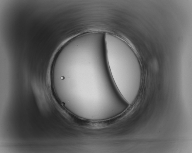 X0000099510795200805151010