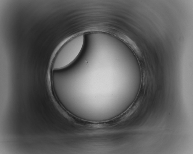X0000099510796200805151010
