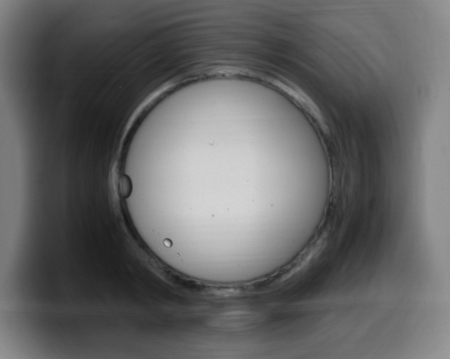 X0000099510798200805151010