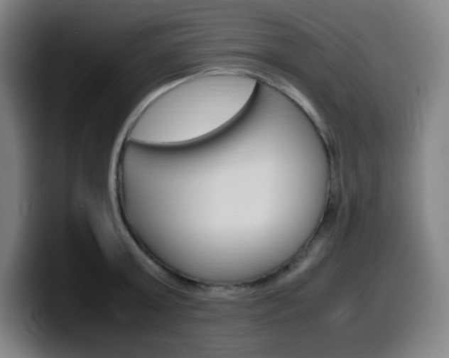X0000099510803200805151009