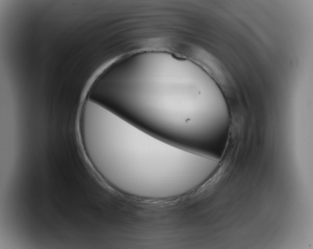 X0000099510804200805151009