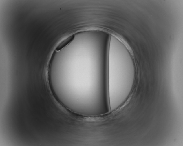 X0000099510805200805151009