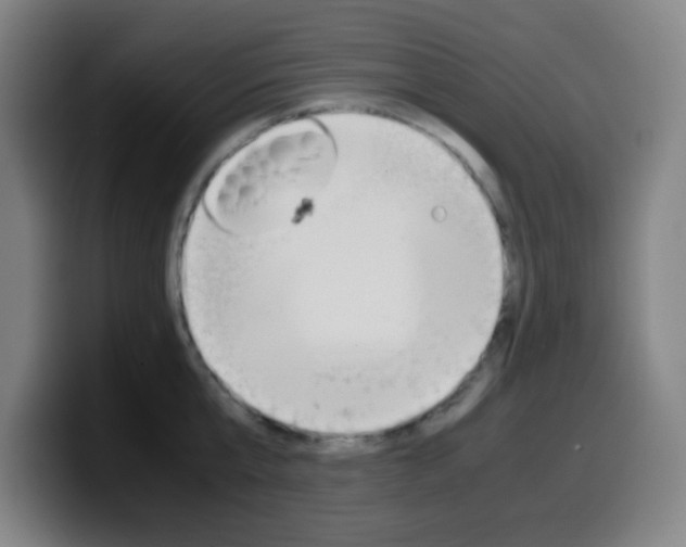 X0000099510807200805151009