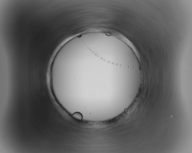 X0000099510811200805151009