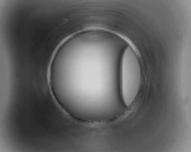 X0000099510815200805151009