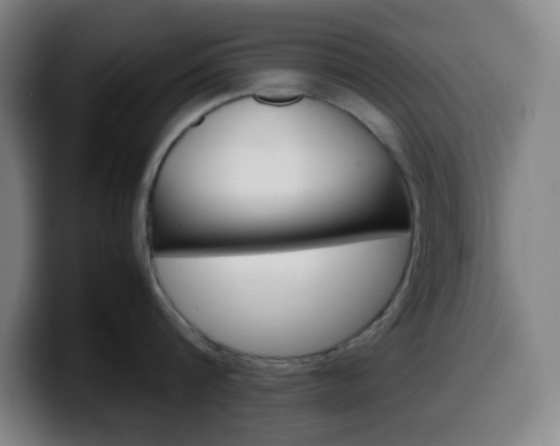 X0000099510816200805151009