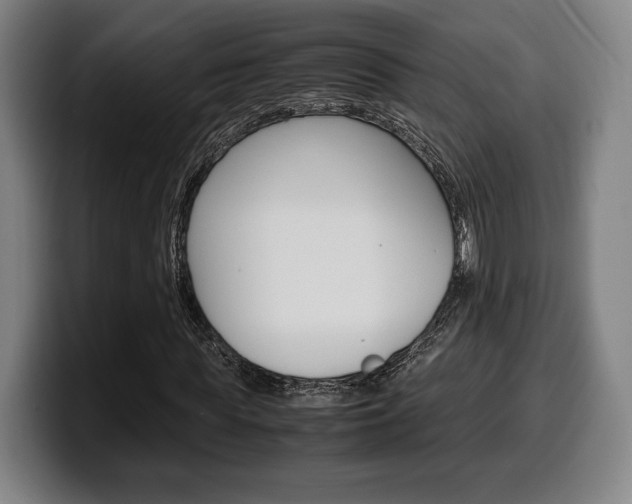 X0000099510819200805151009