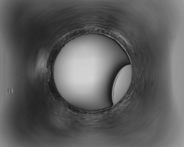 X0000099510821200805151009