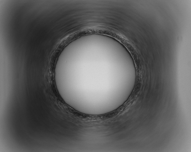 X0000099510822200805151009
