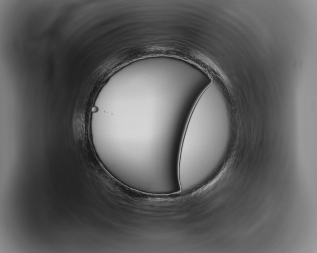 X0000099510825200805151009