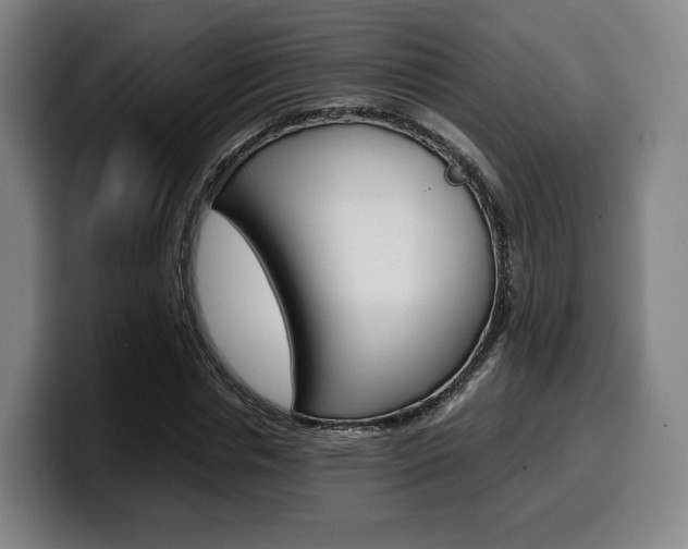 X0000099510826200805151009