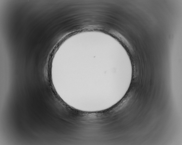 X0000099510828200805151009