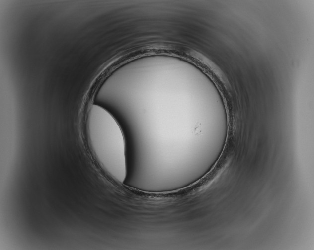 X0000099510829200805151009