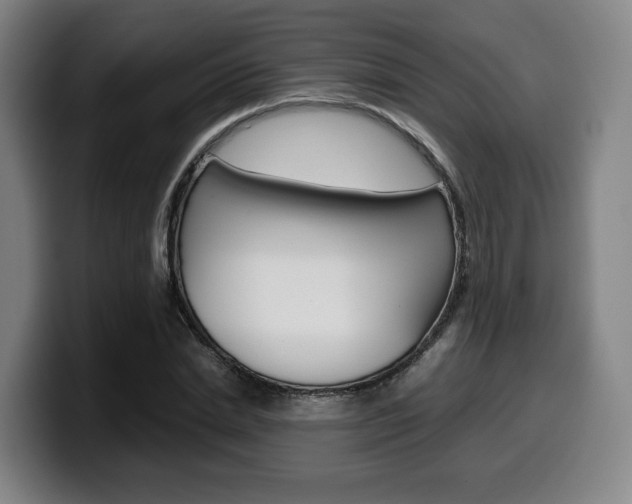 X0000099510830200805151009