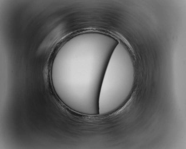 X0000099510831200805151009