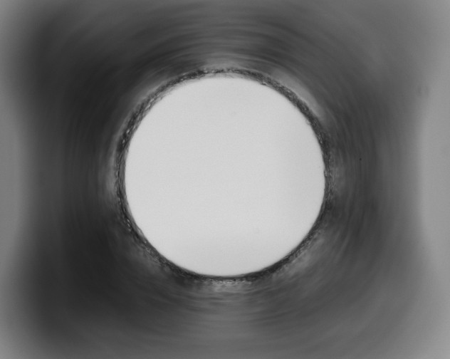X0000099510832200805151009