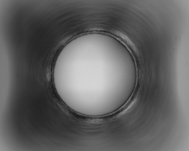 X0000099510833200805151009