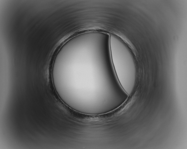 X0000099510834200805151009