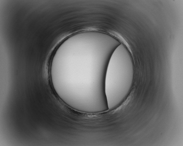 X0000099510835200805151009