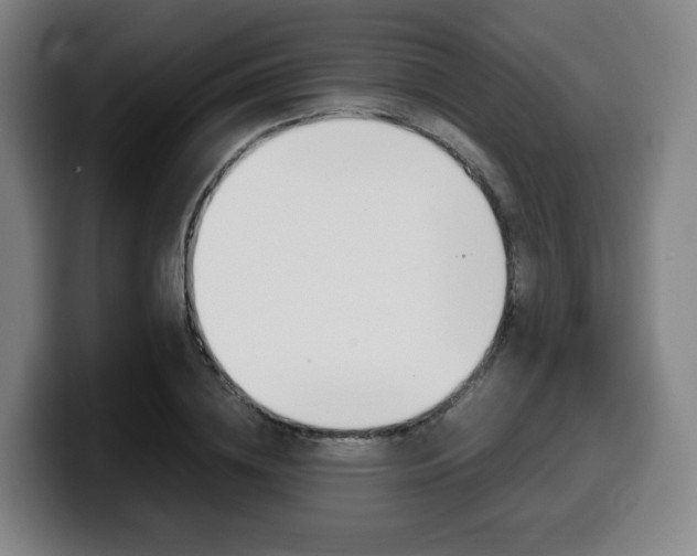 X0000099510836200805151009