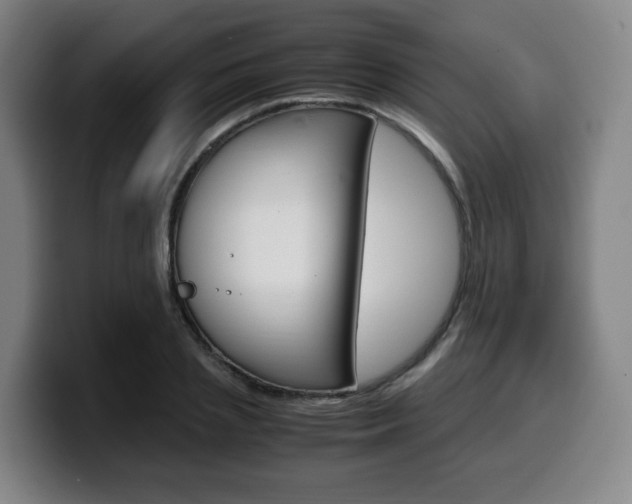 X0000099510837200805151009