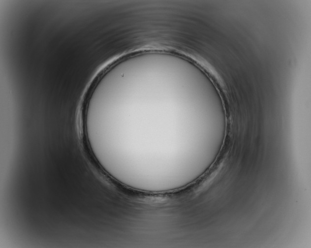 X0000099510838200805151009