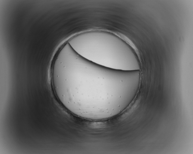 X0000099510839200805151009