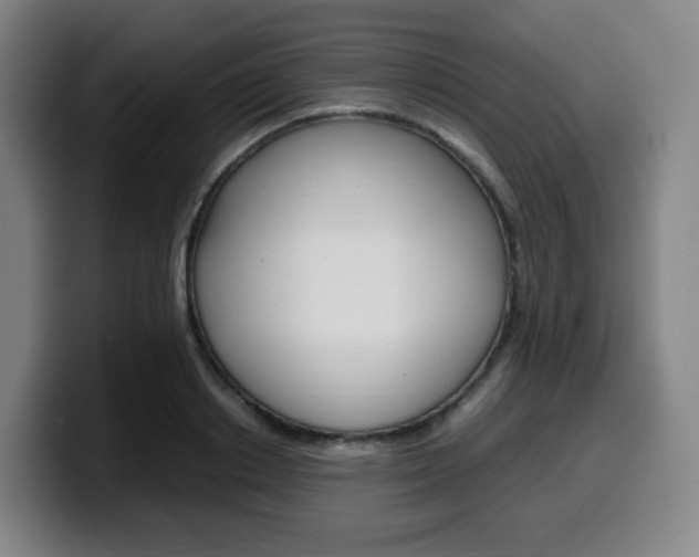 X0000099510842200805151009