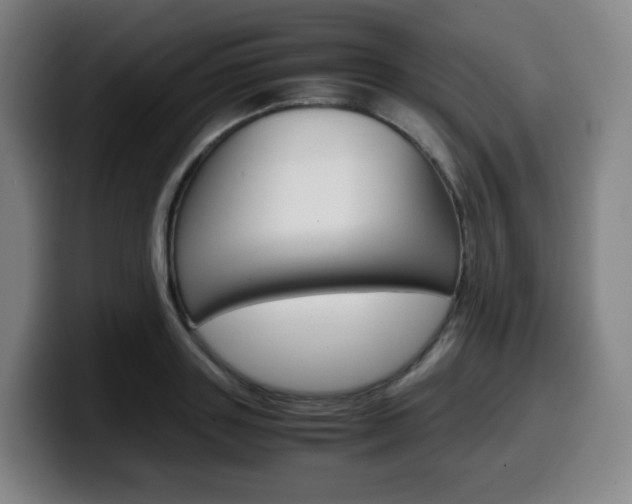 X0000099510843200805151009