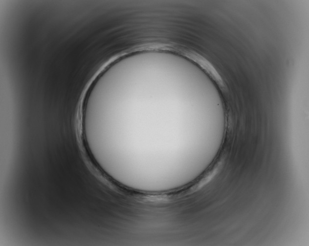 X0000099510844200805151009