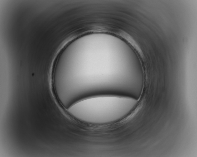 X0000099510845200805151009